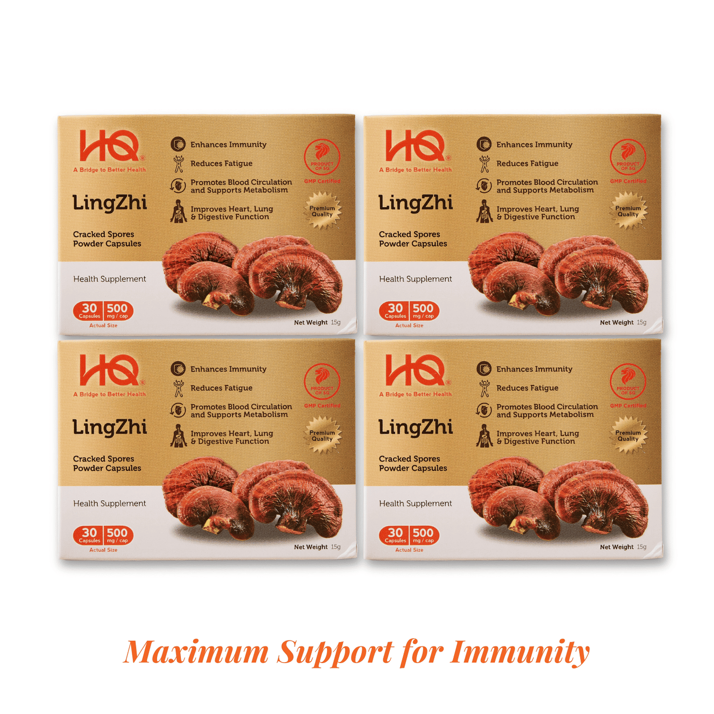 HQ Lingzhi 500mg Cracked Spores Powder Capsules – Immunity Supplement (Bundle of 4) - HQ Lingzhi Singapore