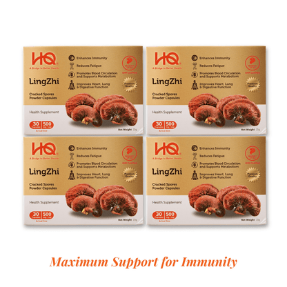 HQ Lingzhi 500mg Cracked Spores Powder Capsules – Immunity Supplement (Bundle of 4) - HQ Lingzhi Singapore
